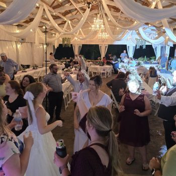Guests celebrating at a wedding reception under a white draped tent